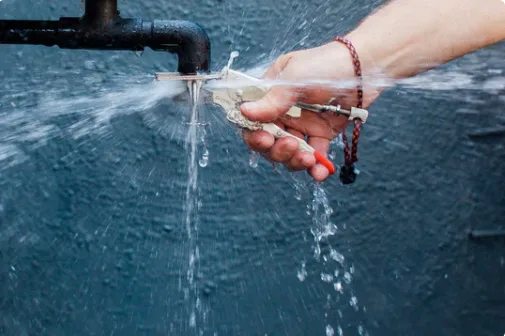 Sprinklerschutzzange im Einsatz am Sprinklerkopf